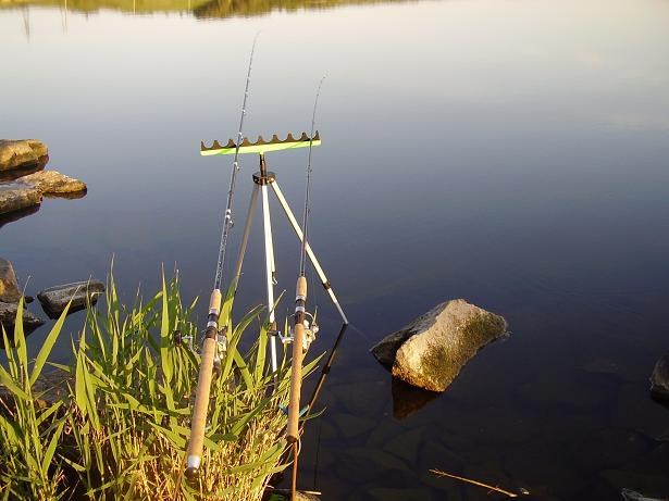 Pesca de carpa