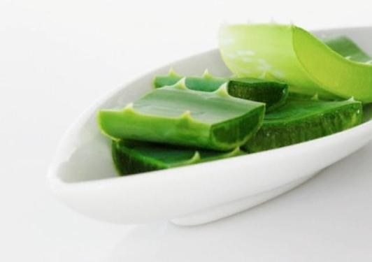 Máscaras para cabello de aloe