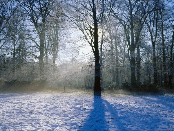 Consejo 1: Cómo predecir el clima por los signos