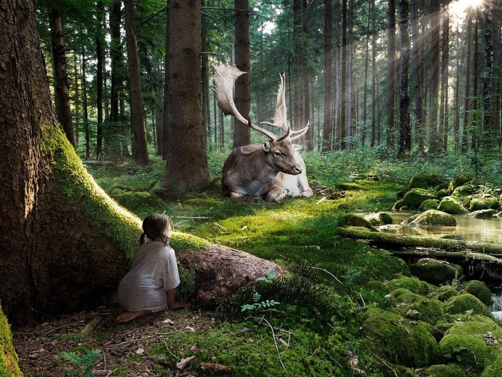 Consejo 1: por qué las personas no protegen la naturaleza