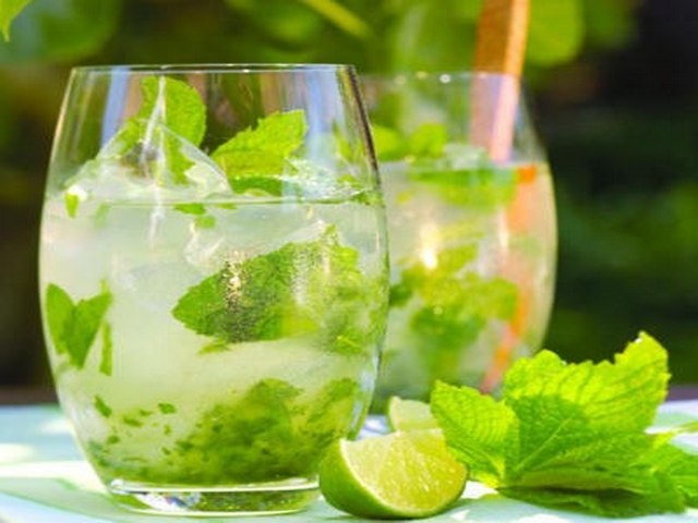 Cómo cocinar delicioso Mojito