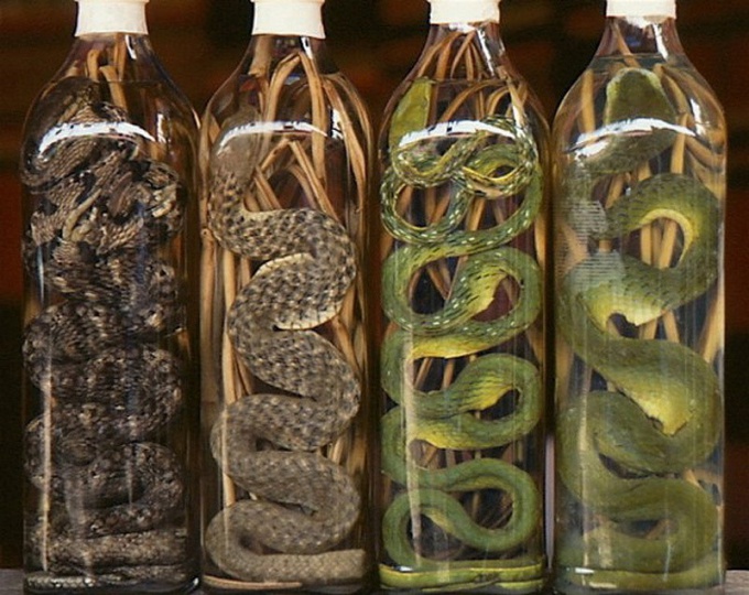 ¿Por qué poner una serpiente en botellas de alcohol