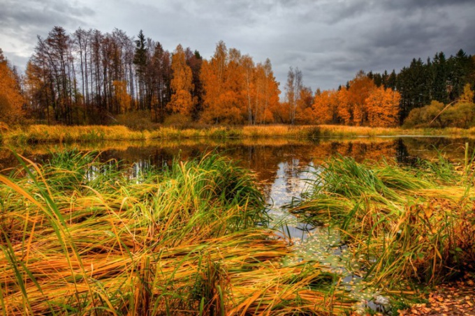 Donde puedes relajarte en noviembre en Rusia