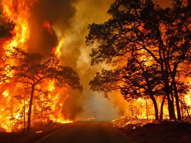 ¿Cuáles son los incendios naturales?