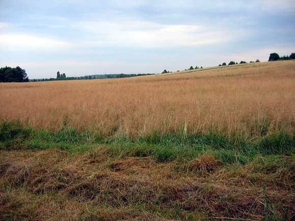 Cómo volver a registrar un recurso compartido de la tierra